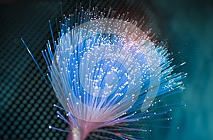 Fiber optics lights