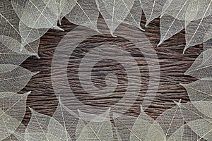 Fiber structure of dry leaves texture, skeleton leaf on old wooden background with space for text.