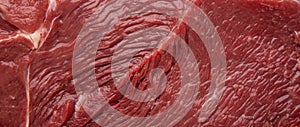 Fiber texture of meat close up, panorama