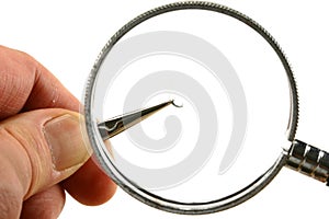 Fiber under magnifying glass