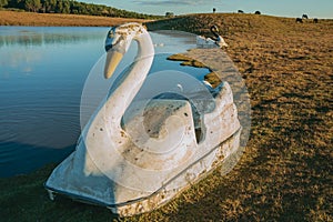 Fiberglass pedal boat resembling swan near lake photo