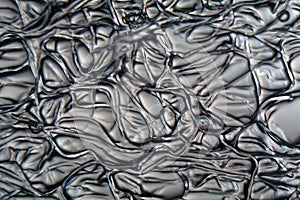 Fibers of Cellulose acetate under the microscope.