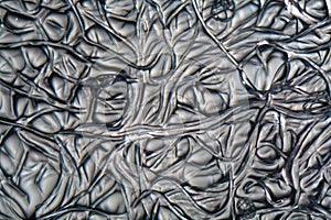 Fibers of Cellulose acetate under the microscope. photo