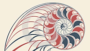 Fibonacci Nautilus Shell Spiral Geometry Vector, vector design Generative AI
