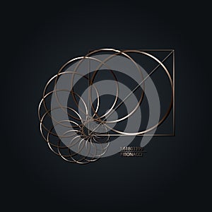 Fibonacci Sequence Circle. Golden ratio. Geometric shapes spiral. Snail spiral. Sea shell of metallic circles. Sacred geometry