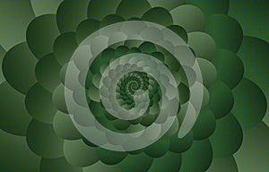 Fibonacci spiral background. Abstract Green Nautilus Fibonacci pattern template, vector illustration