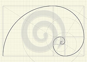 Fibonacci spiral. Golden ratio. Vector drawing