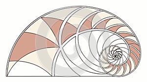 Fibonacci Spiral Shell Geometric Pattern, vector design Generative AI