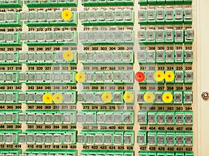 Fibre distribution panel with identification plugs