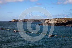 Fibre Optic cable coming ashore