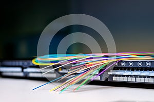 Fibre optic cables on patch distribution panel