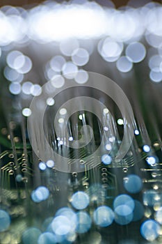 Fibre. Optical fiber picture with details and light effects. technology