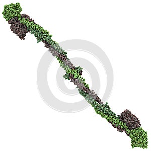 Fibrinogen, chemical structure