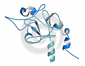 Fibroblast Growth Factor 9 FGF9, Glia-activating factor protein. Plays essential role in male development sex determination.