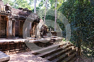 Ficus grows on the stairs of an ancient dilapidated temple. Ancient ruins in the rainforest. Stone steps of medieval construction