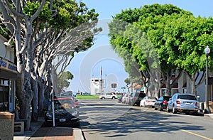 Ficus trees line Ocean Avenue in Laguna Beach, California.