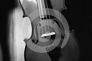 Fiddle 4 string black and white music impact