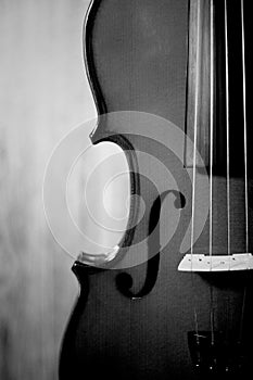 Fiddle 4 string black and white songs instrument musical