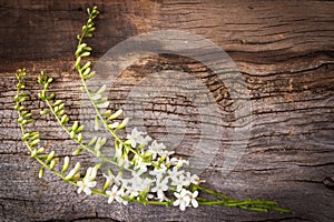 Un engano madera flor sobre el de madera 