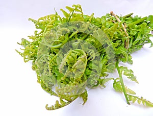 Fiddlehead greens in isolated background