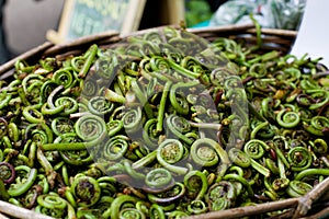 Fiddleheads for Sale at Farmer's Market