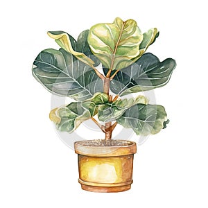 Fidle leaf fig, house plant in cute pot, clip art on white background, Generative AI