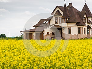 Fied of yellow flowers with cotage house