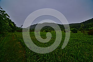 Field along the ice age national scenic trail within Devils Lake state park