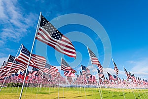 Field of American Flags