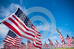 Field of American Flags