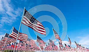 Field of American Flags