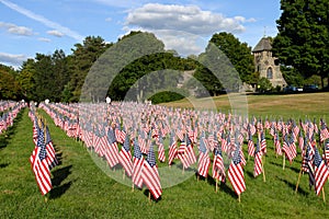 Field of American Flags during US Independence Day