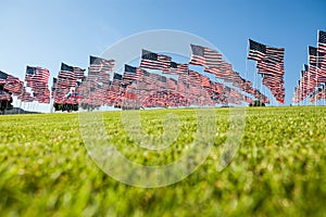 Field of American flags