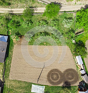 Field and apple trees in the garden.