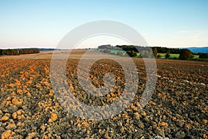 Field in autumn