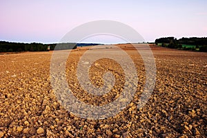 Field in autumn