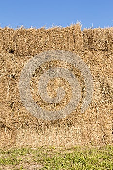 Field with bales of hay