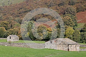 Field barns, Muker, Swaledale, Yorkshire Dales