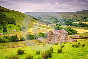 Field Barns in Upper Swaledale