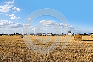 Field of beveled wheat against