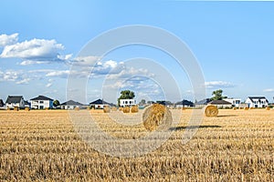 Field of beveled wheat against