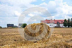 Field of beveled wheat , hay