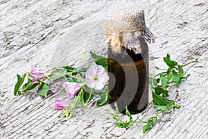 Field bindweed (Convolvulus arvensis) and pharmaceutical bottle photo