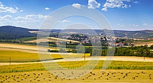 Field with blossoming sunflowers under blue sky