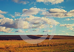 Field with blue cloudy sky