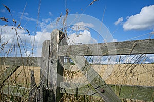 Field and blue sky with old wooden farm gate photo