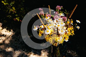 Field bouquet of daisies, clover, small yellow flowers and various grasses on a black background