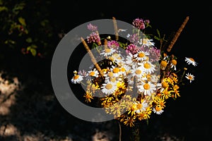 Field bouquet of daisies, clover, small yellow flowers and various grasses on a black background