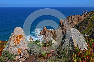 Field on the Cabo da Roca, Portugal - westernmost point of mainland Europe