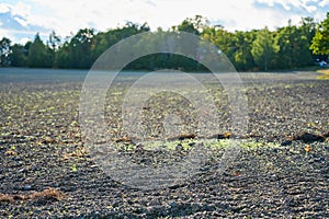 A field cleared after summer with plant.